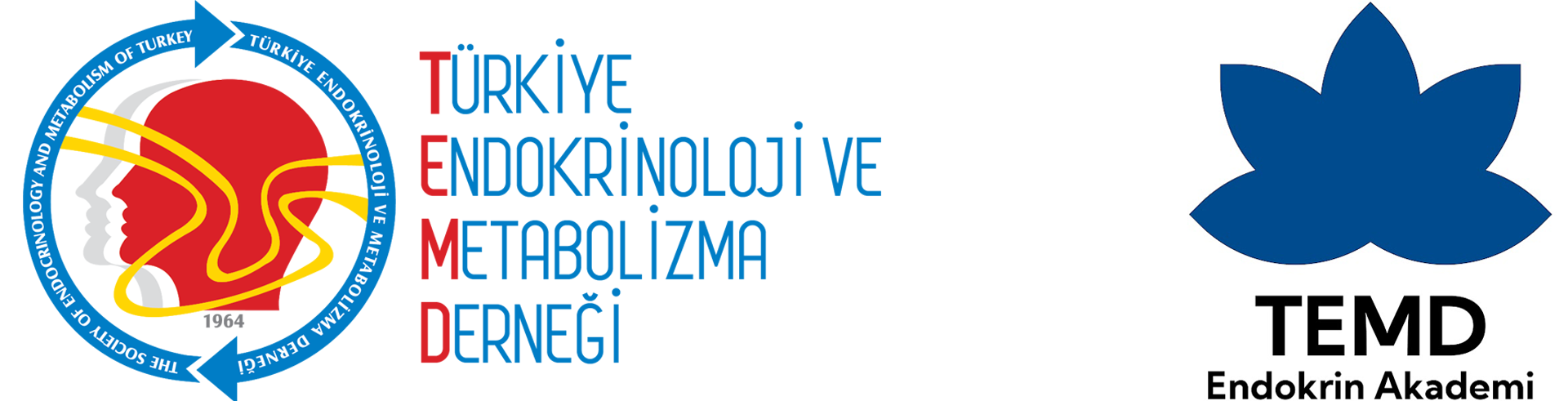 Endokrin Akademi
